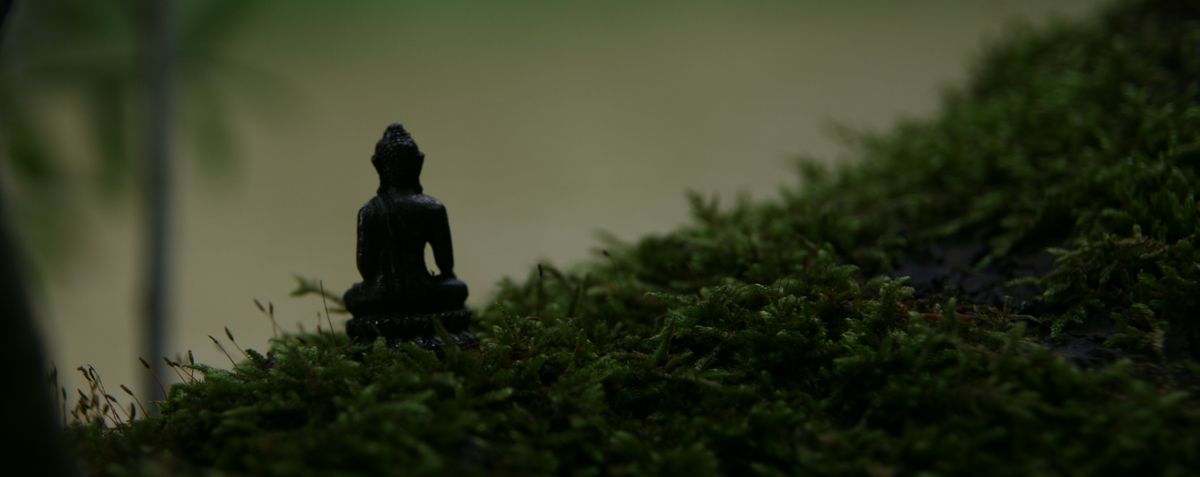 Buddha im Moos