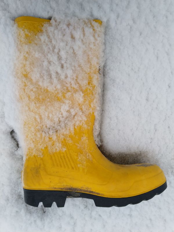 gelber Gummistiefel im Schnee gedreht